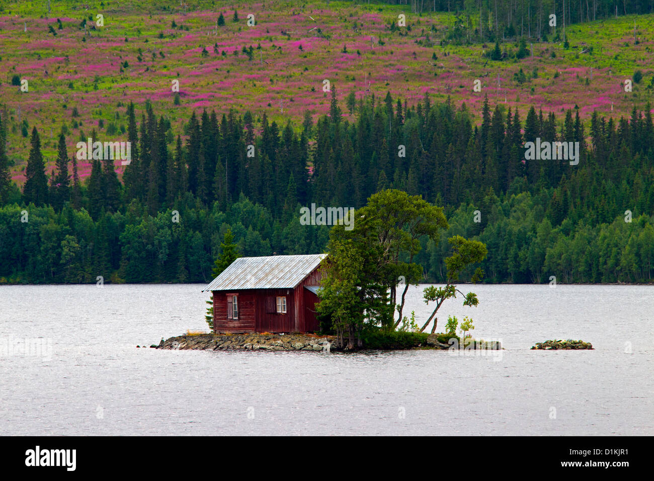 Chalet en bois sur l'île du lac à Gäddede, Jämtland, Suède, Scandinavie Banque D'Images