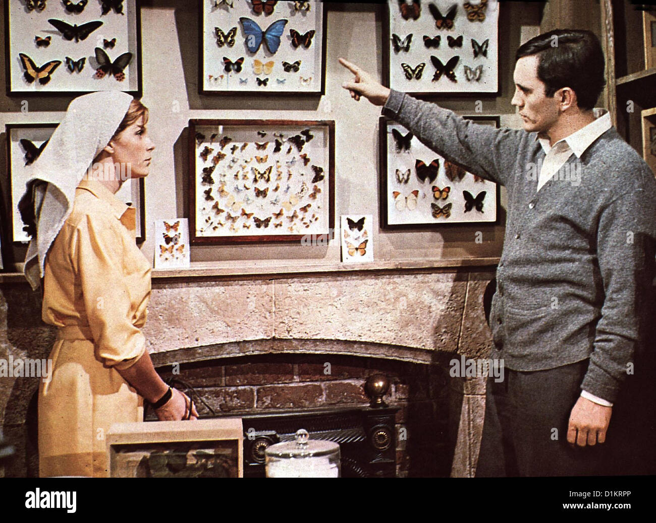 Der Faenger Collector, Samantha Eggar, Terence Stamp Als Freddie (Terence Stamp) Miranda (Samantha Eggar) seine Sammlung Banque D'Images