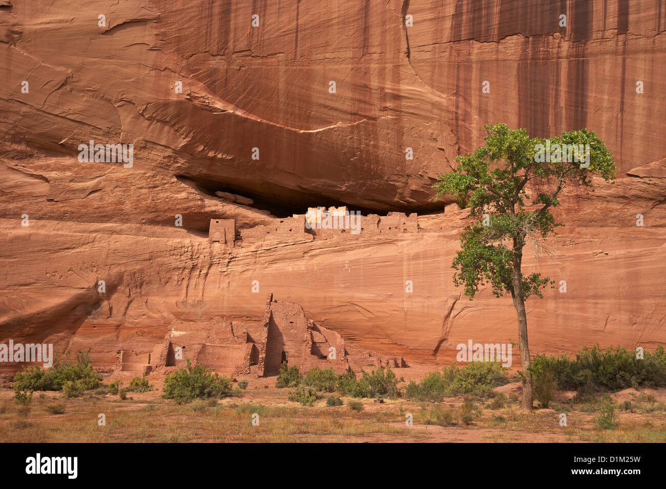 La ruine de la Maison Blanche, Canyon de Chelly National Monument, Arizona, USA Banque D'Images