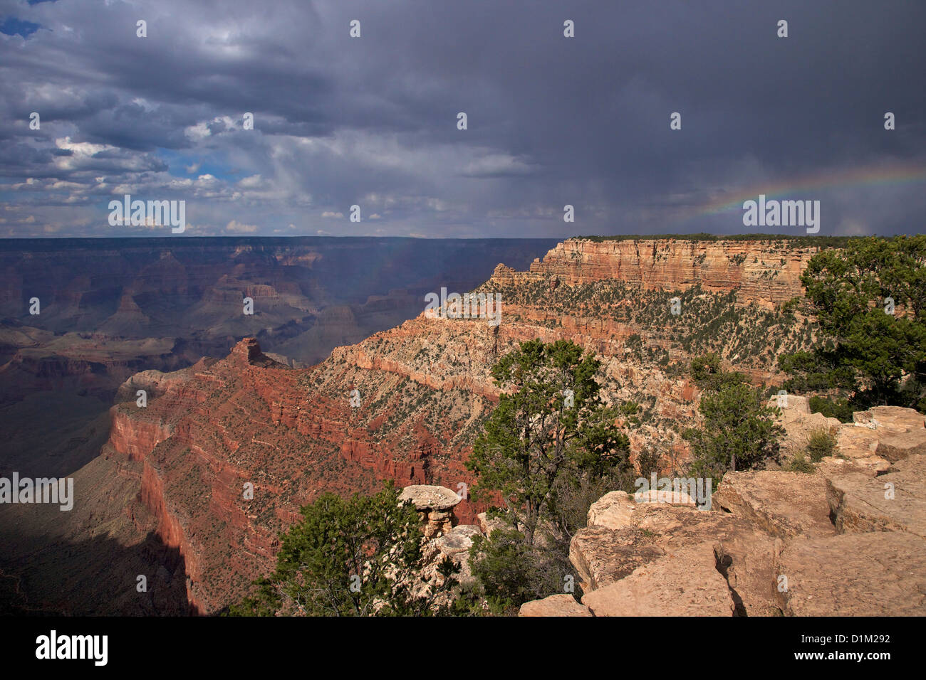 Temps orageux sur le Sud de la piste de Kaibab, Rive Sud, le Parc National du Grand Canyon, Arizona, USA Banque D'Images