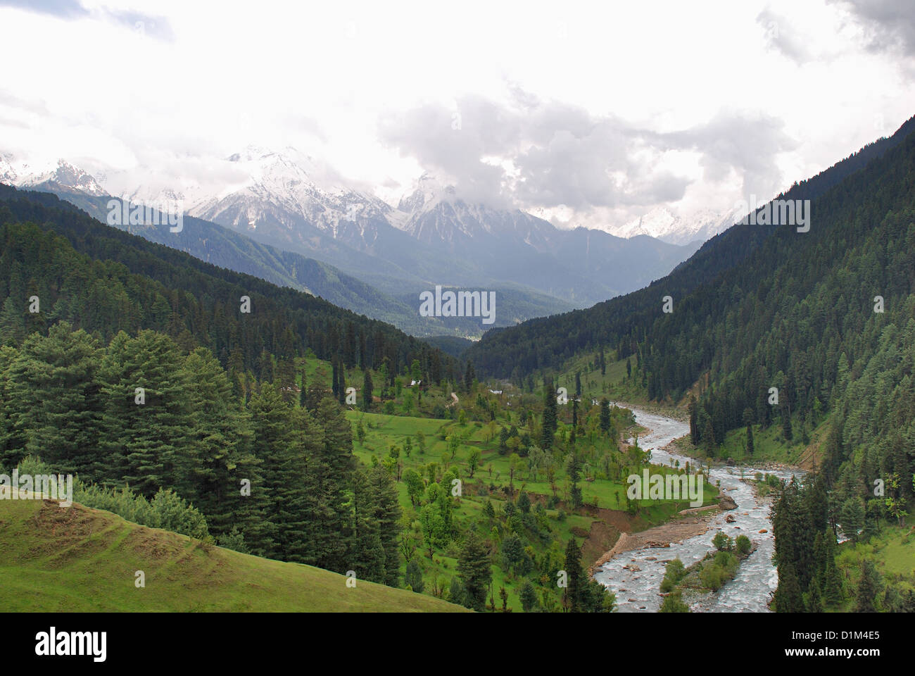 Lidder river sur le chemin à Pahalgam, Jammu-et-Cachemire, en Inde. 73 km de long river qui provient du Glacier d'Kolhoi Banque D'Images