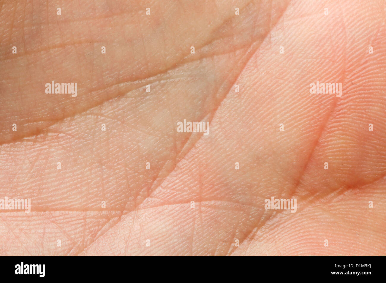 La peau humaine close up. La structure de peau Banque D'Images