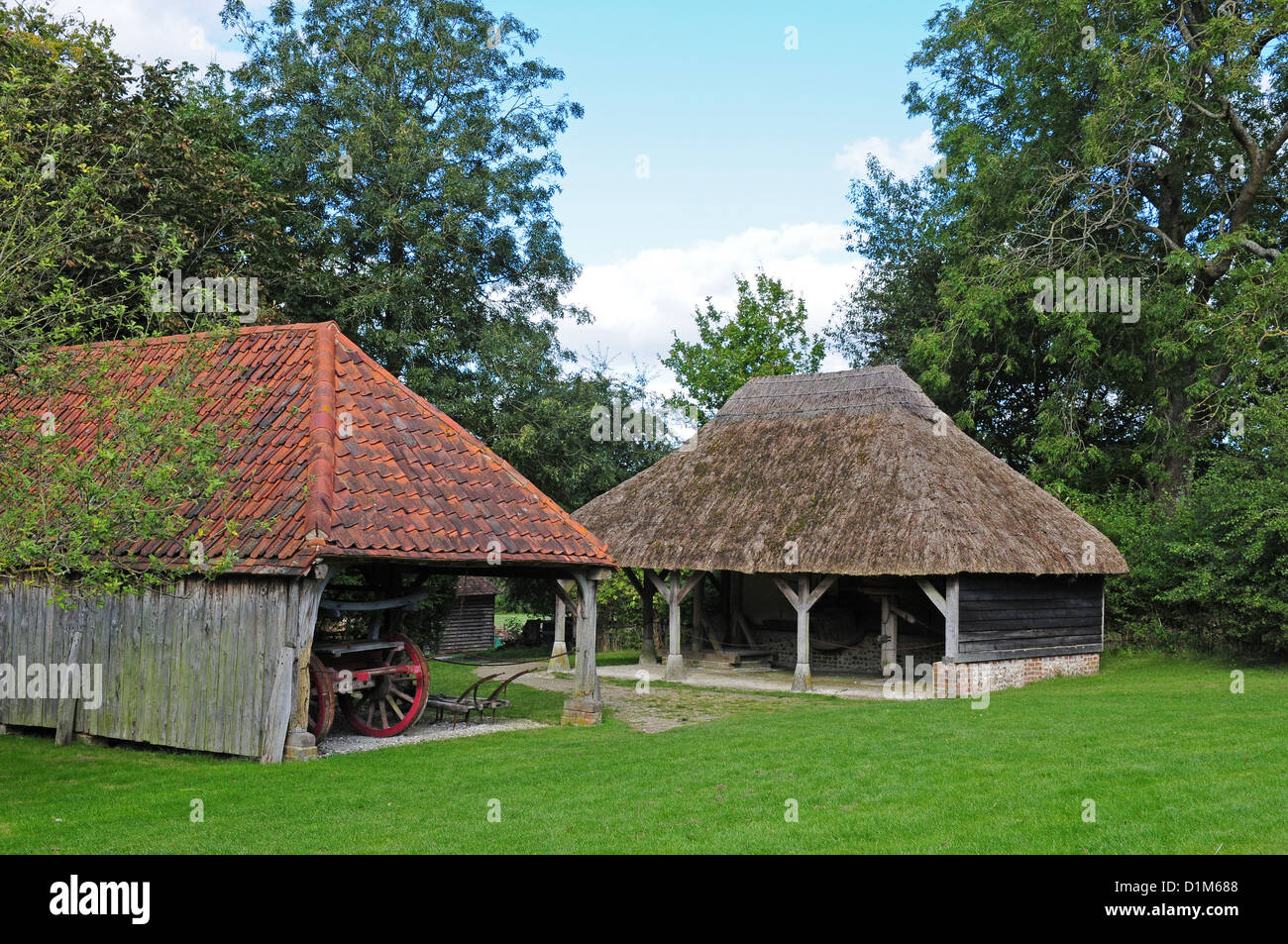 Hangar ouvert de Charlwood et le cheval de Caprice West Kingsdown. Weald et Downland Open Air Museum. Banque D'Images