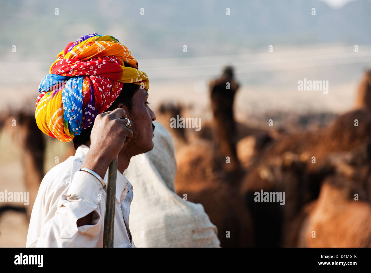 Un commerçant d'une chamelle turban lumineux semble songeur à chameaux au cours de l'assemblée juste chameau à Pushkar Rajasthan Inde Asie Banque D'Images