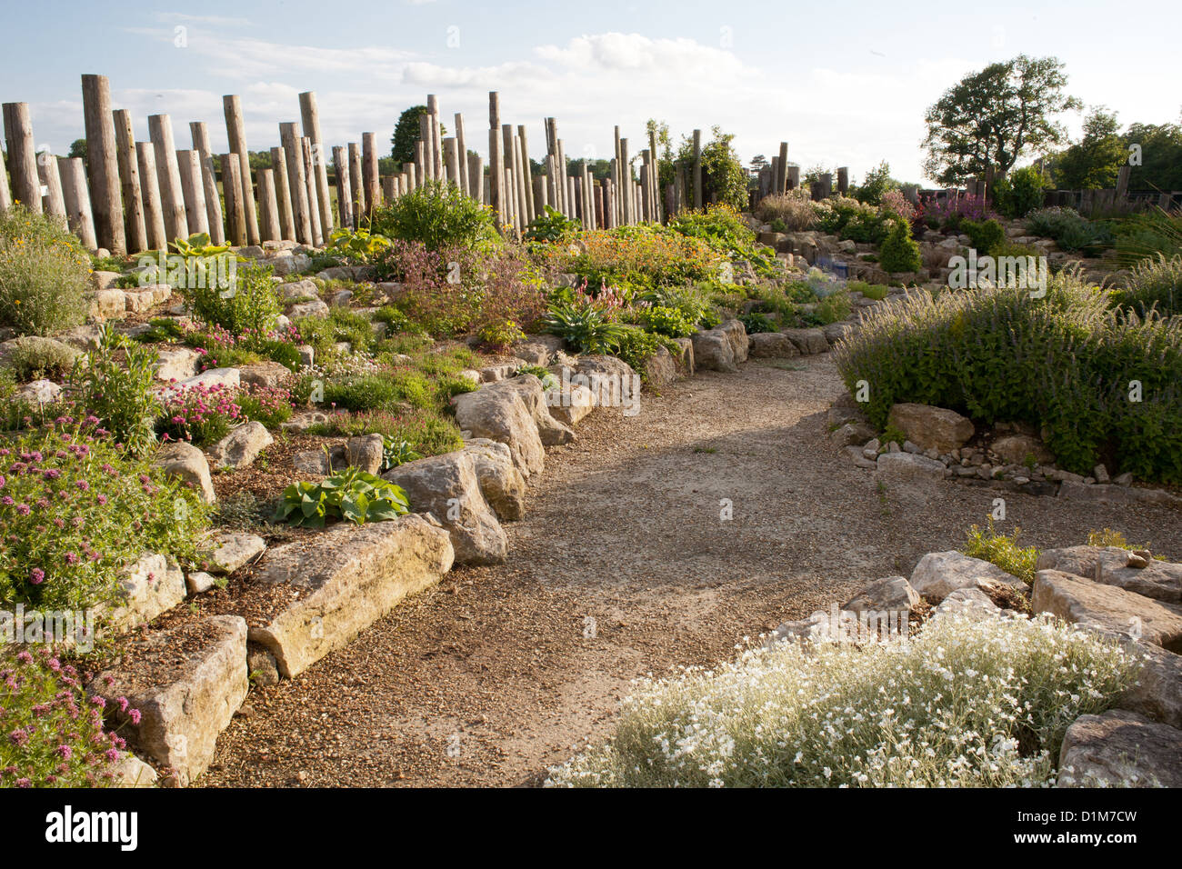 Jardin de rocaille. Banque D'Images