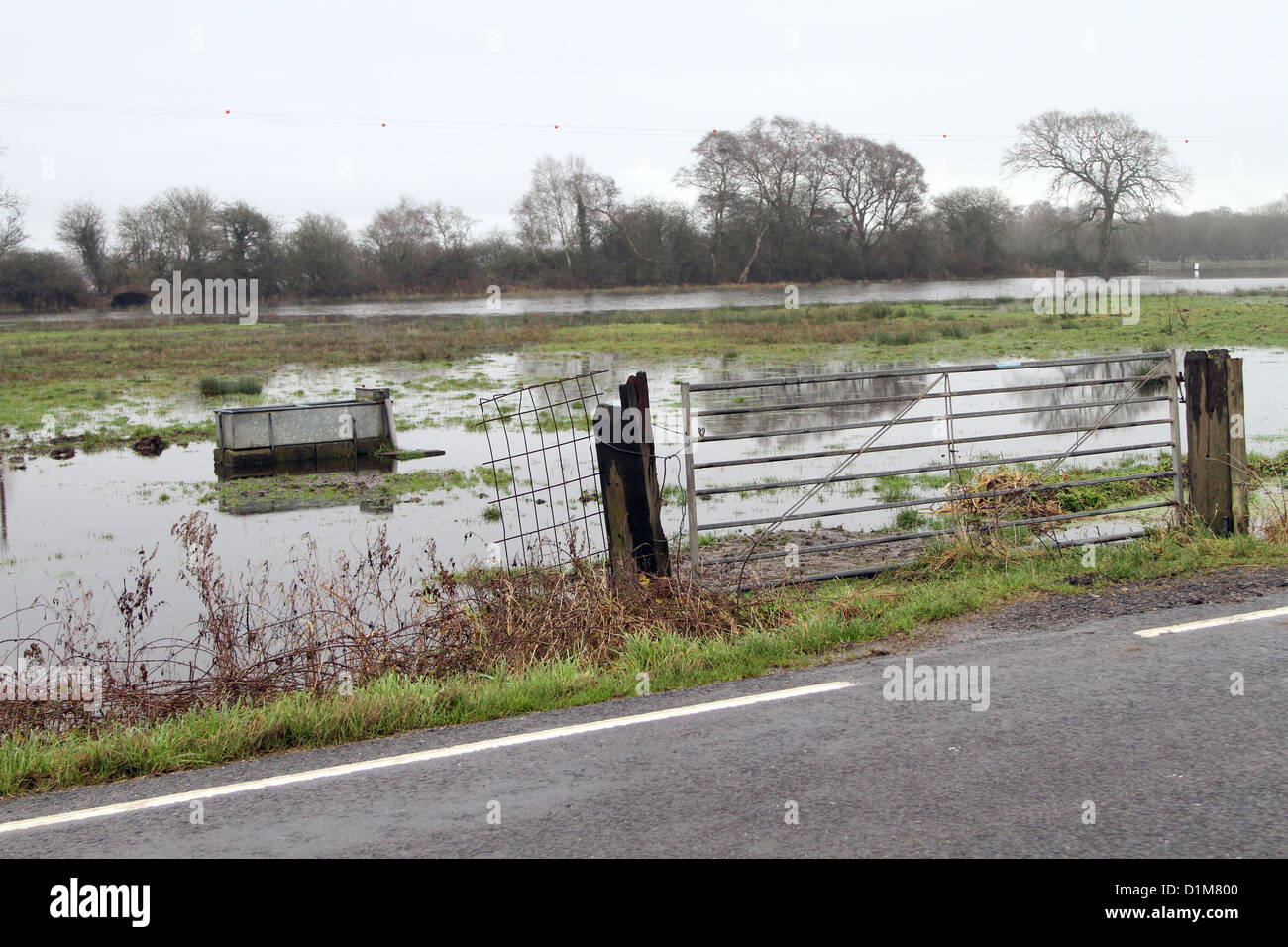 Gateway et champs inondés sur Somerset Levels en décembre 2012, l'interruption pour les agriculteurs et le mode de vie rural. Banque D'Images