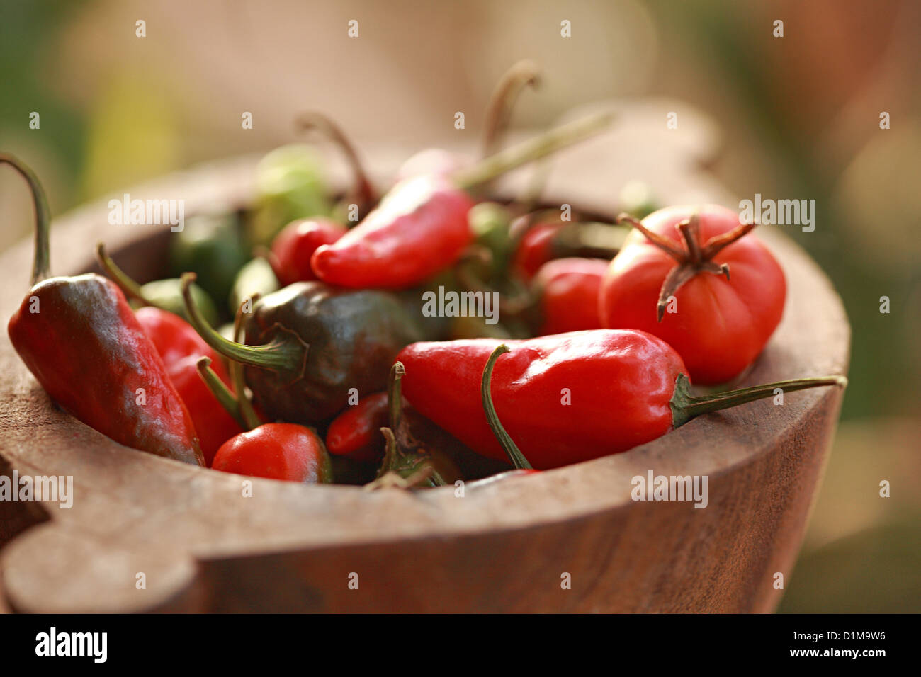 Une variété de piments portugais de Goa Banque D'Images