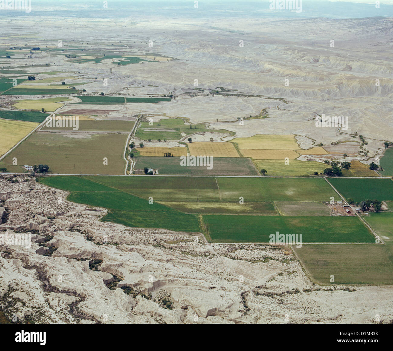 La terre sèche de terres agricoles irriguées / COLORADO Banque D'Images