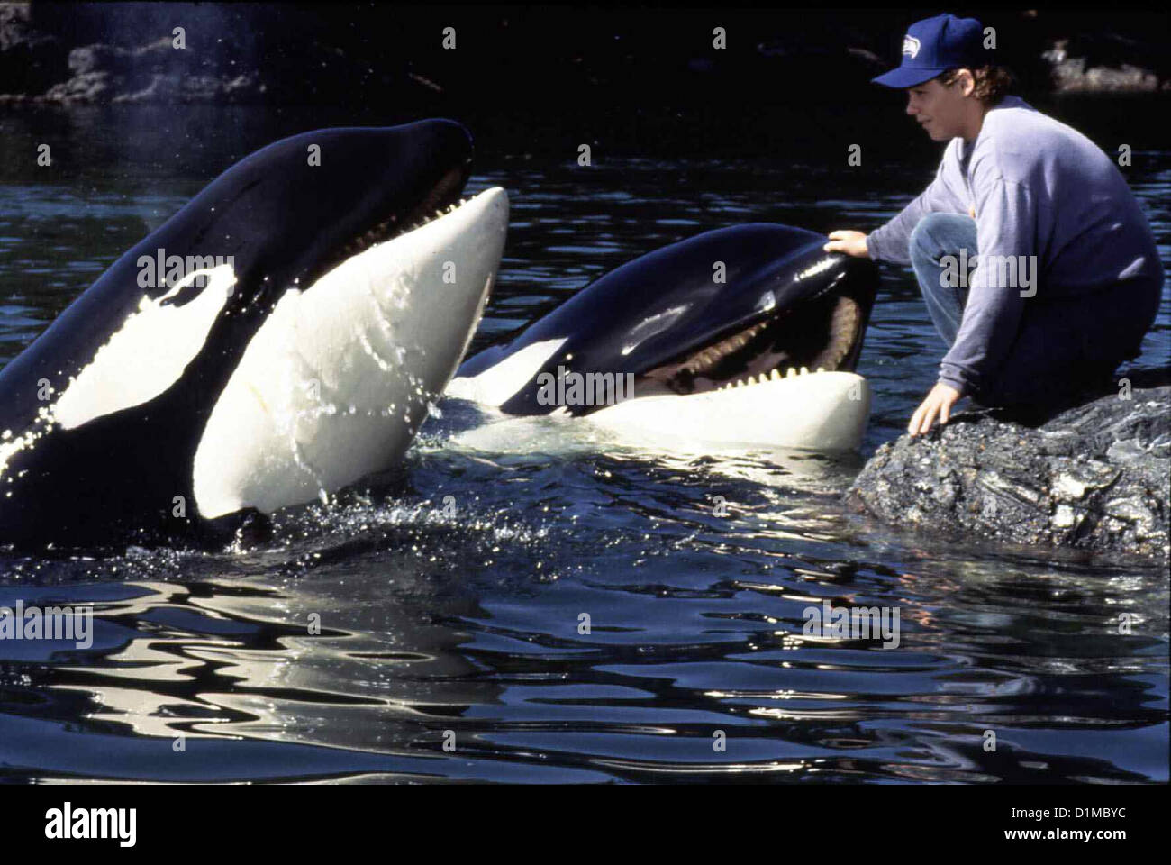 Free Willy 2 - Freiheit in Gefahr Free Willy 2 Jason James Richter Jesse (Jason James Richter) feiert ein Wiedersehen mit dem Banque D'Images