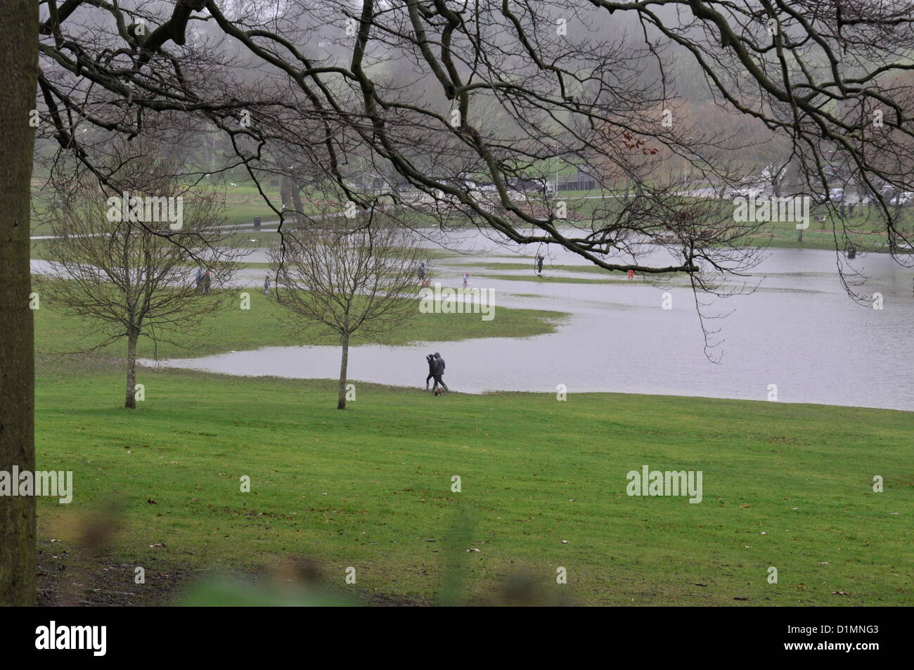 Inondations à Gadebridge Park, Hemel Hempstead, Hertfordshire, Royaume-Uni le 29 décembre 2012, de fortes pluies récentes. Banque D'Images