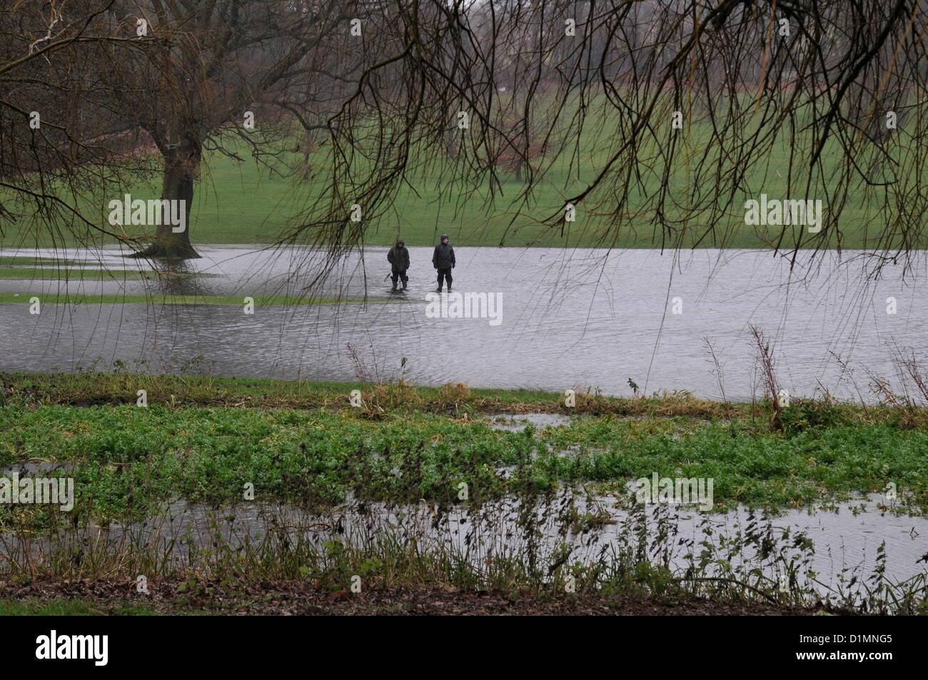 Inondations au parc de Gadebridge, Hemel Hempstead, Hertfordshire, Royaume-Uni, le 29th décembre 2012 suite à de fortes pluies. Banque D'Images