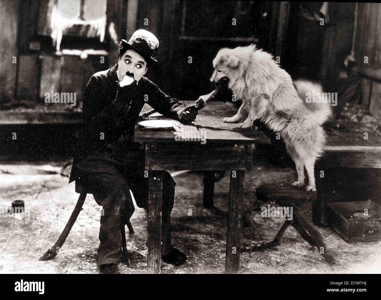 Goldrausch Gold Rush, Charles Chaplin Charlie (Charles Chaplin) findet Schutz in einer Huette. *** *** Légende Locale 1925 -- Banque D'Images