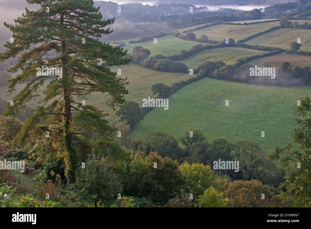 Tôt le matin à l'automne dans la vallée de Torridge dans pays Tarka dans le Nord du Devon UK Banque D'Images