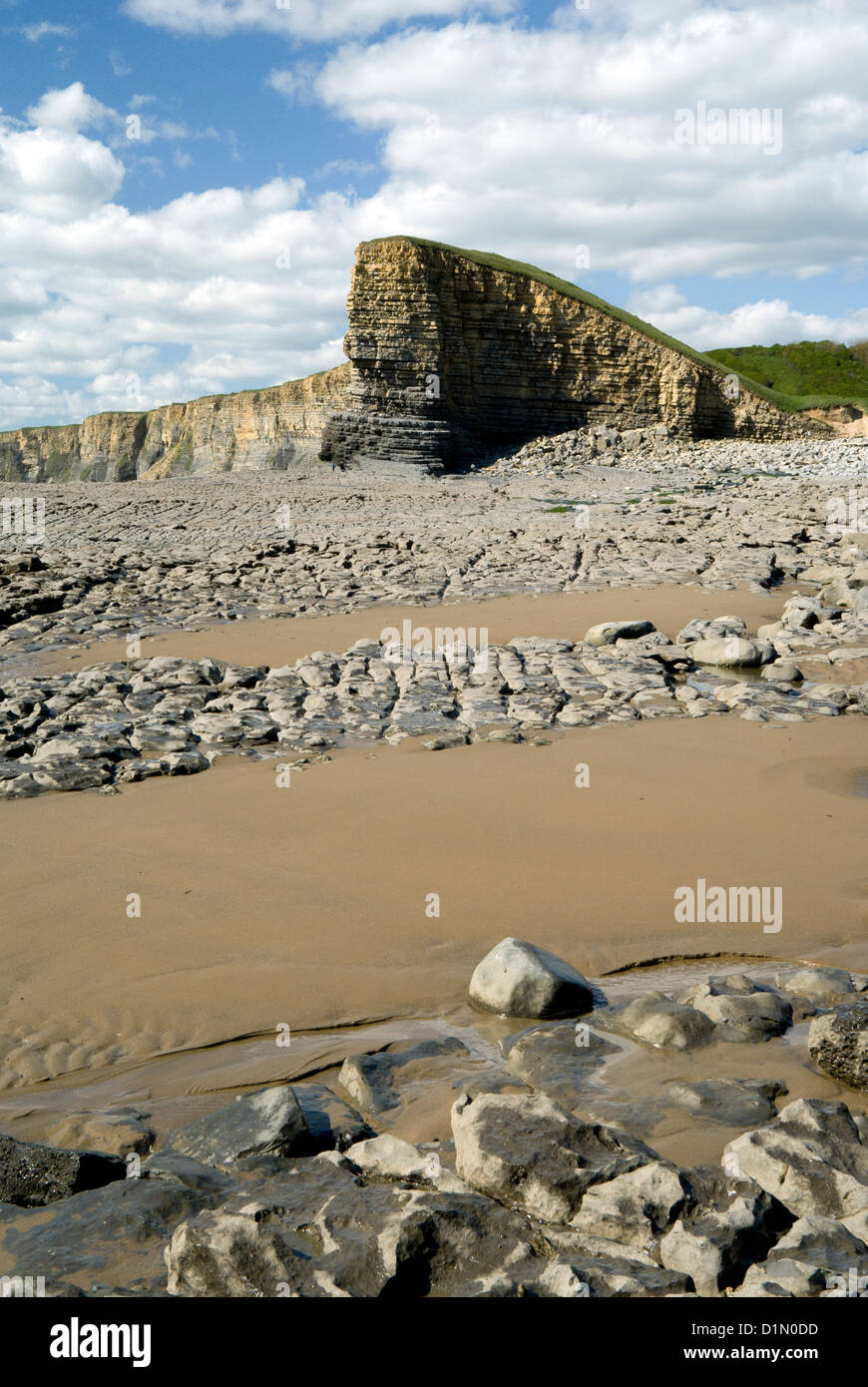 Falaises de calcaire lias point nash côte du glamorgan Vale of Glamorgan South Wales UK Banque D'Images
