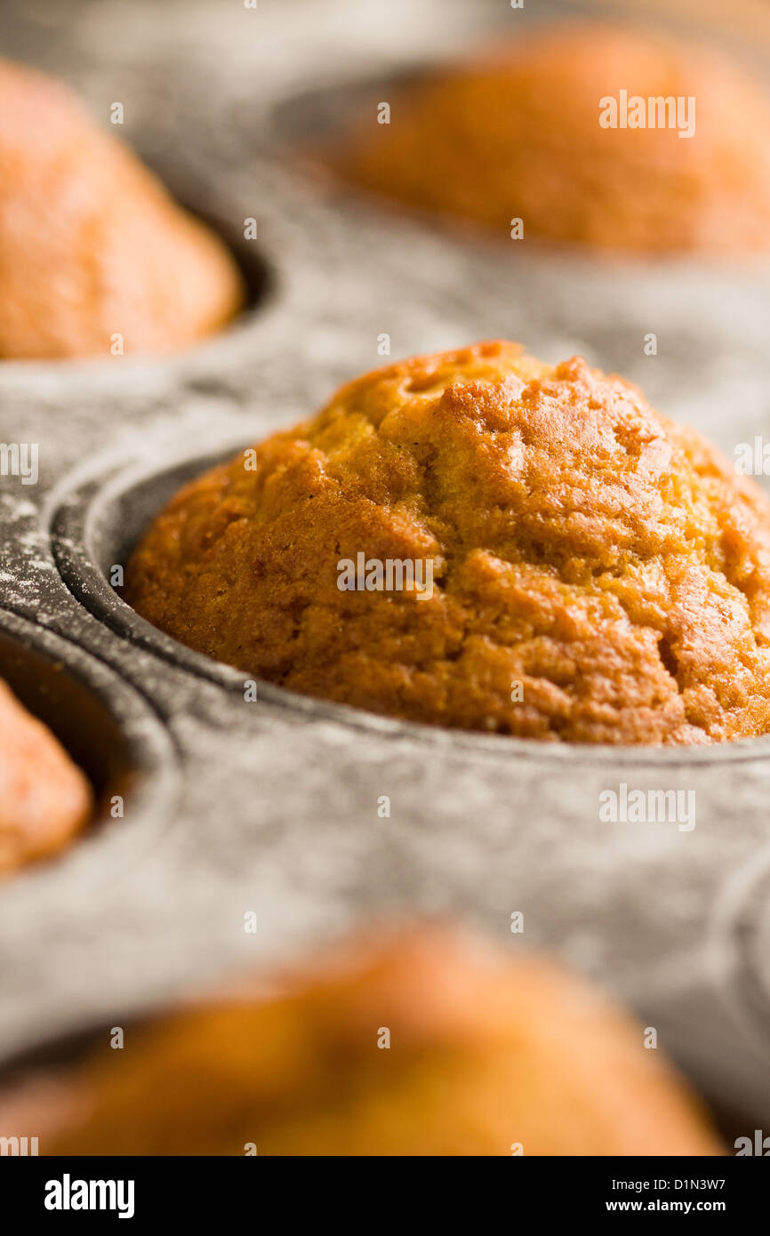 Muffins à la citrouille en allant au four Banque D'Images