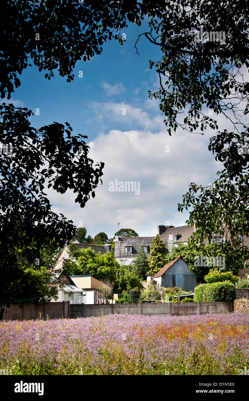 Maisons dans la ville de Guingamp en Bretagne Bretagne France, ville de l'équipe de soccer en avant, rues historiques, avec des fleurs violettes Banque D'Images