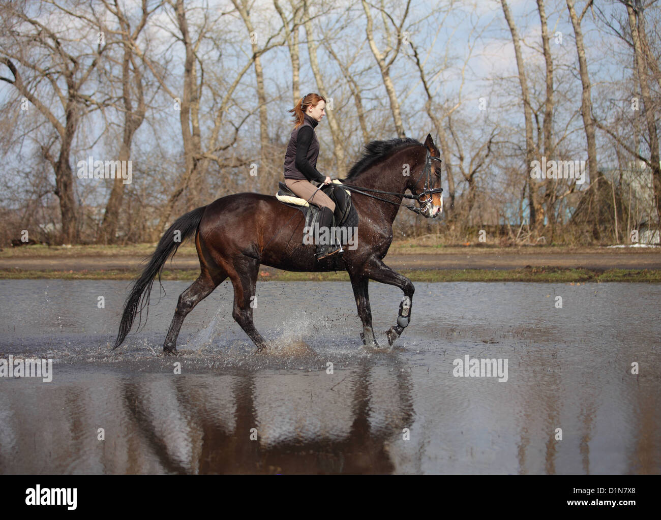 Dame équitation sur cheval dans la rivière Banque D'Images