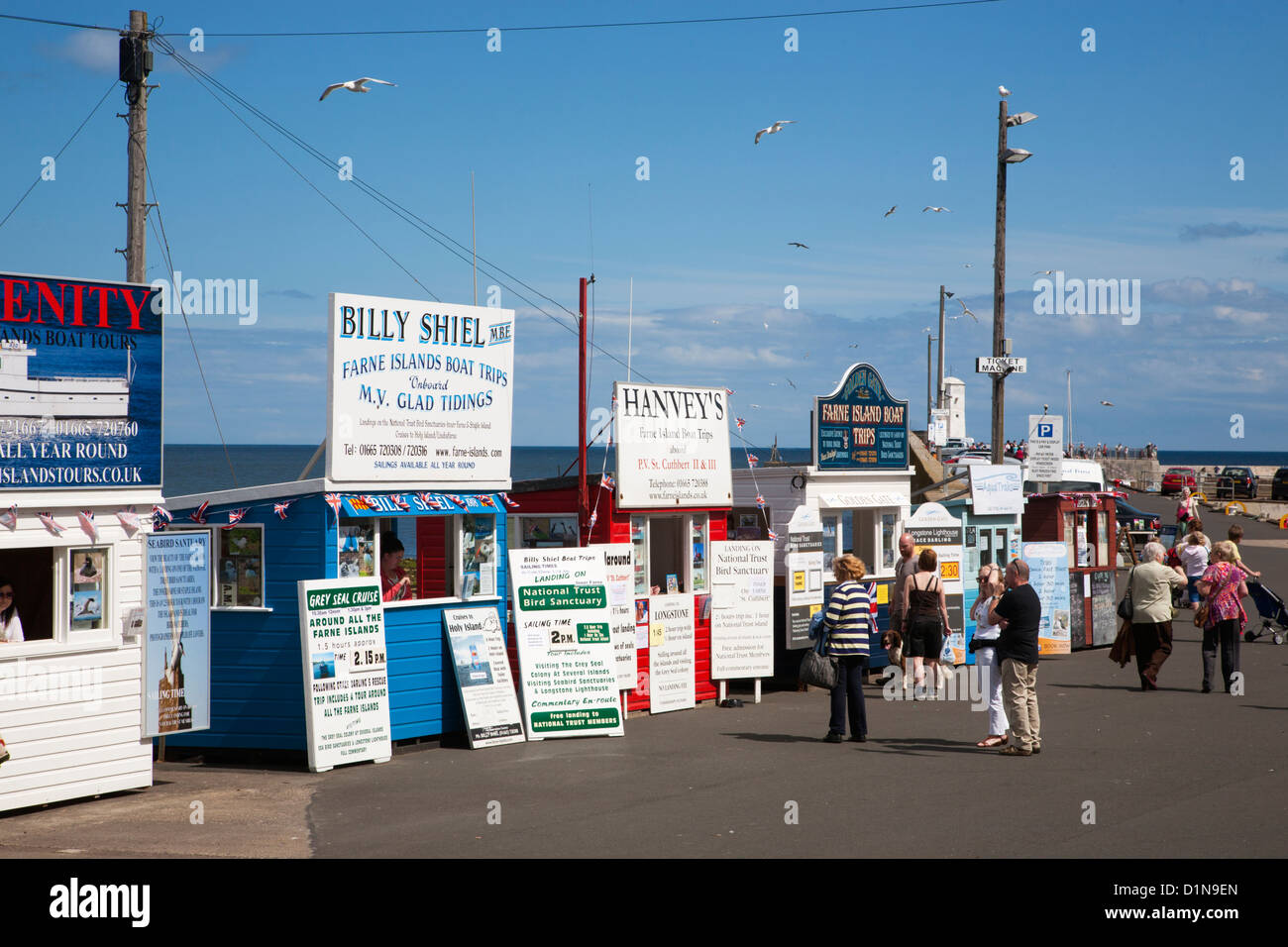 Tour de bateau sur le port de la billetterie de Seahouses, Northumberland Banque D'Images