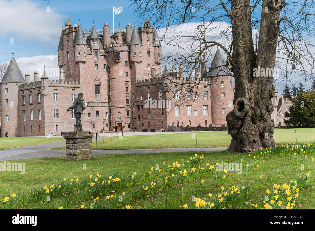 Glamis Castle de jonquilles Angus Scotland Banque D'Images