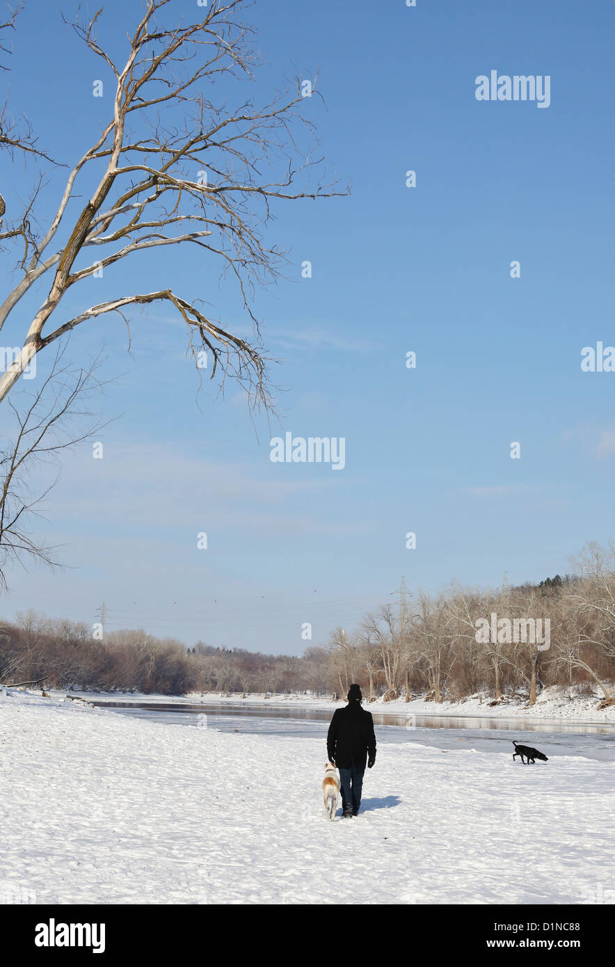 Un homme et un chien à marcher ensemble sur la rive d'un fleuve à un parc pour chiens dans la région de Minneapolis. Banque D'Images