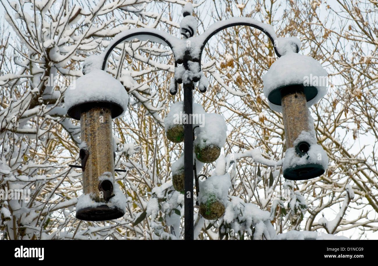 Les mangeoires et boules de graisse couvertes de neige. Banque D'Images