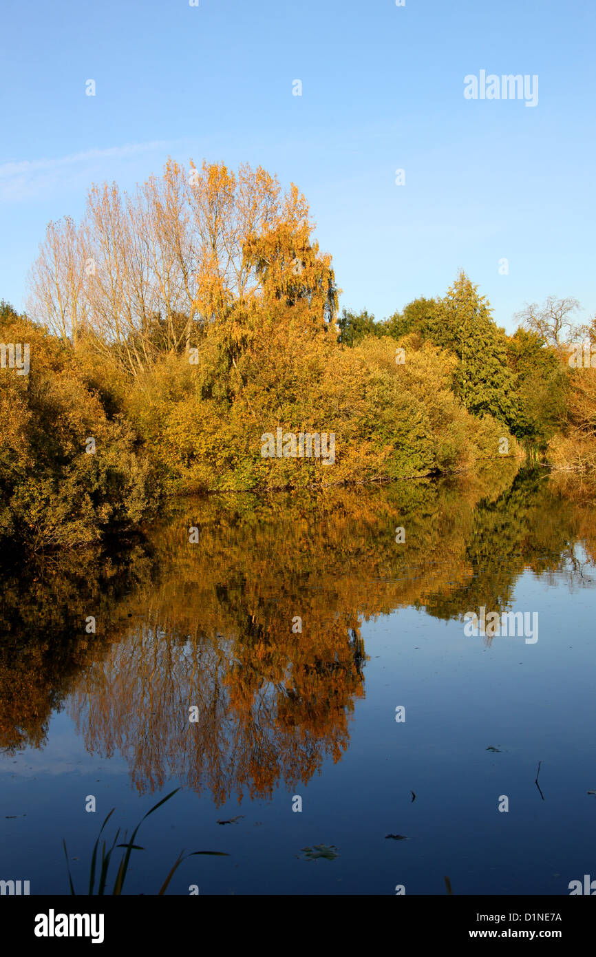 L'automne coloré arbres se reflétant dans l'eau. Banque D'Images