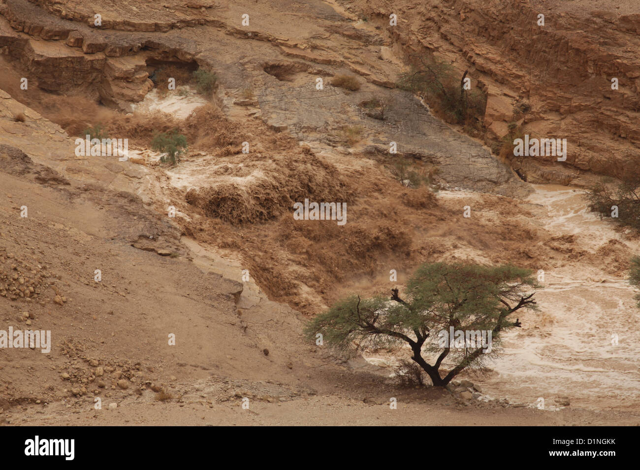 Israël, la Mer Morte, une crue éclair dans le Zohar river Banque D'Images