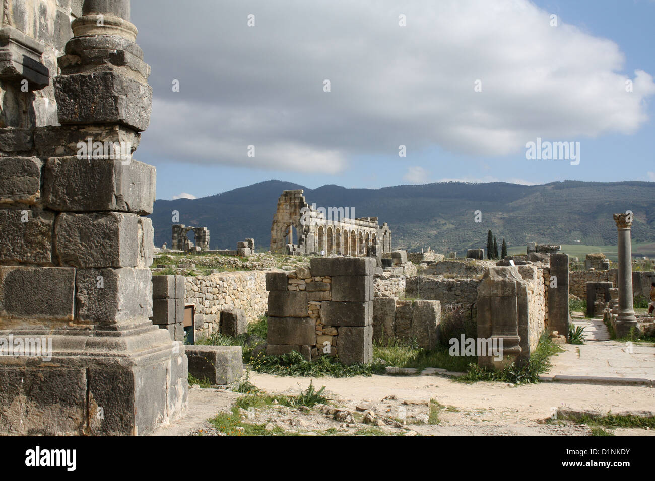 Ruines romaines de Volubilis, Maroc Banque D'Images