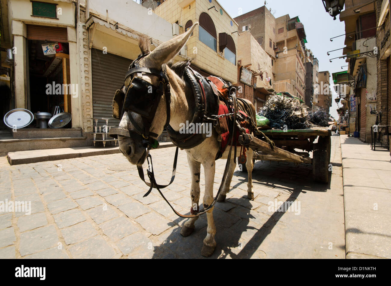 Chariot avec un âne Banque D'Images