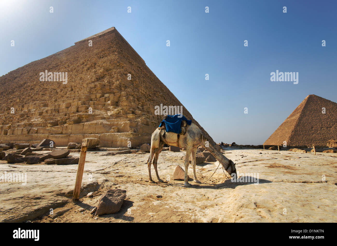 Pyramides de Gizeh Banque D'Images