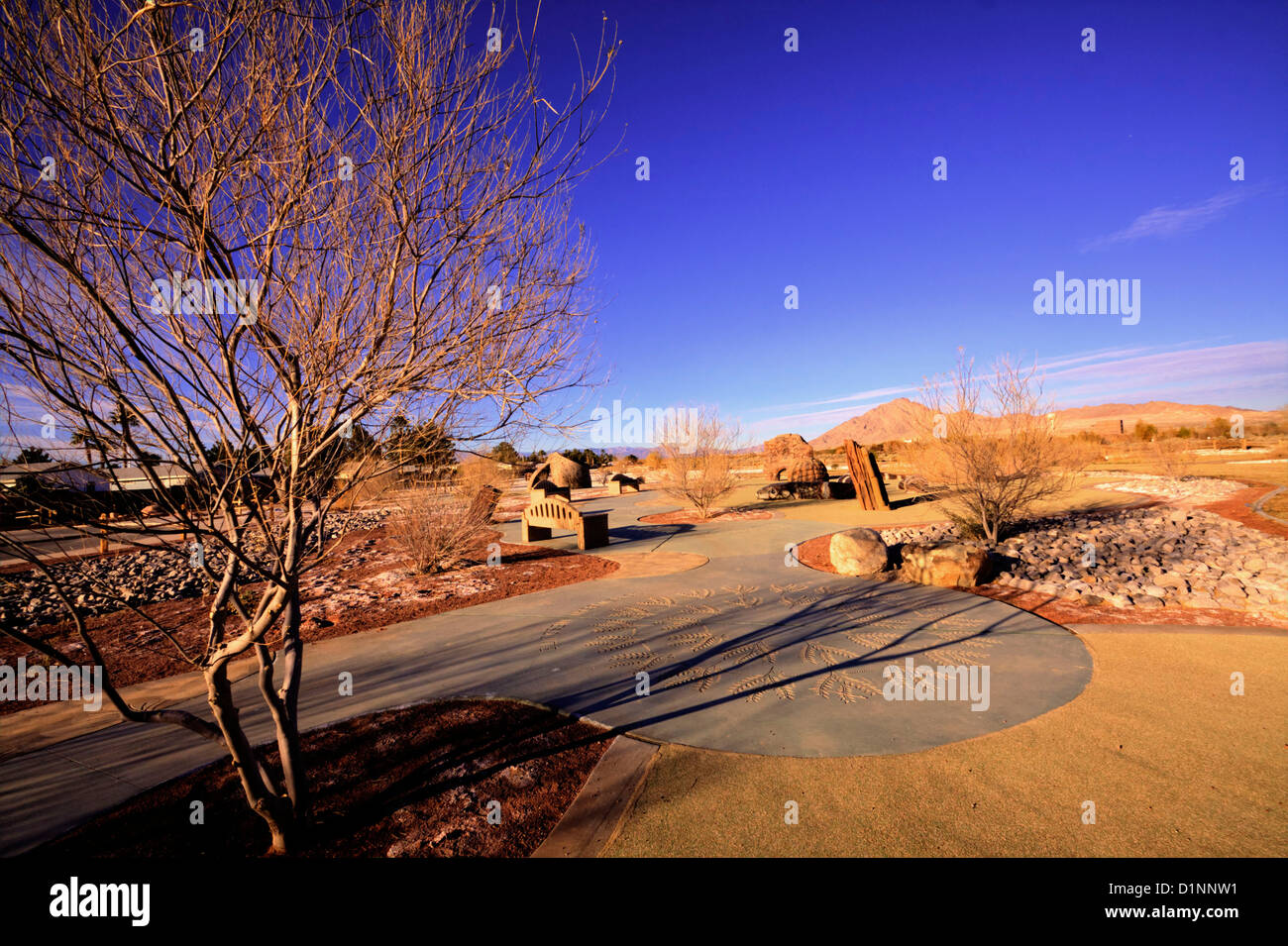 Clark County Wetlands Park, Las Vegas, NV Banque D'Images