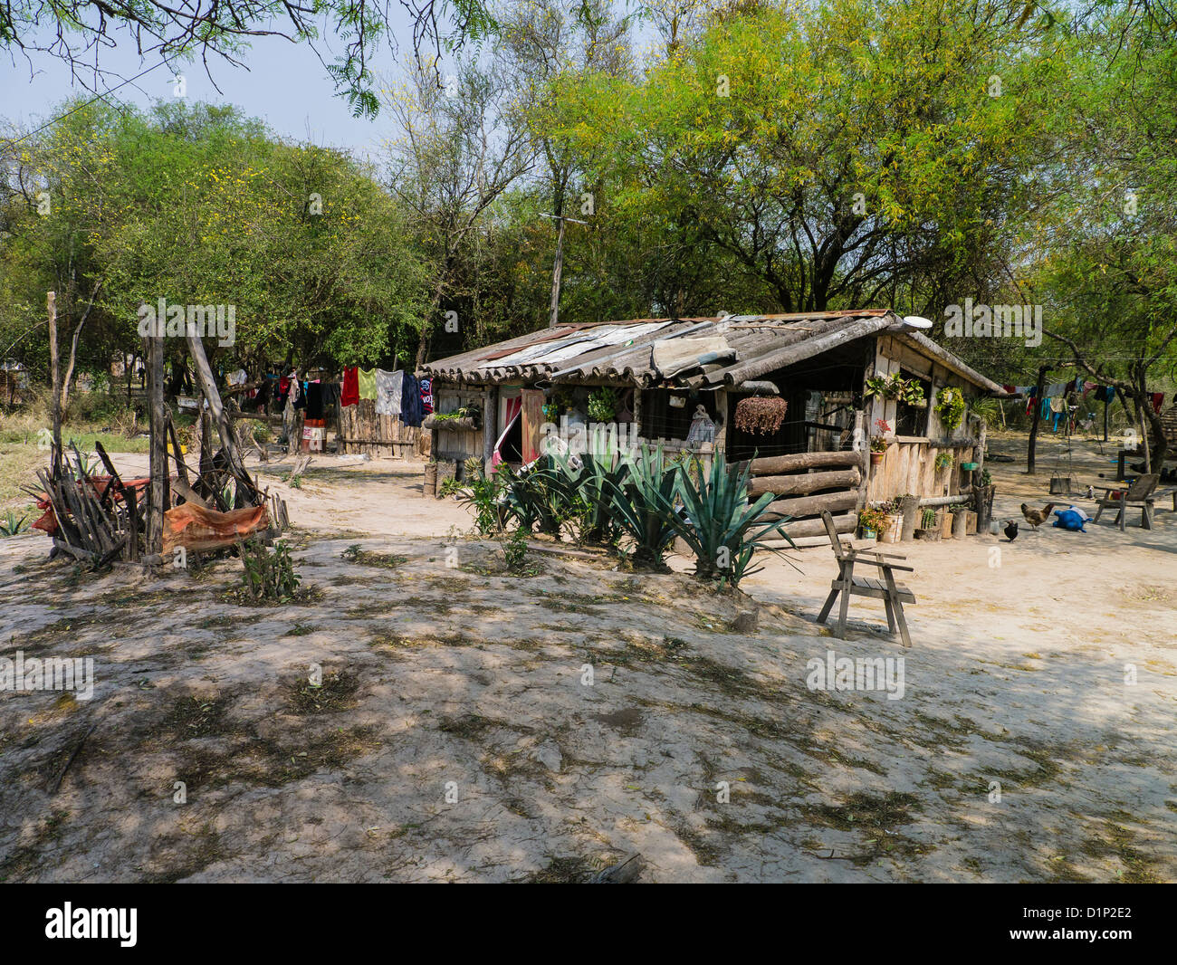 Logement primitif le long de la route 9 dans la région du Chaco au Paraguay du nord. Banque D'Images