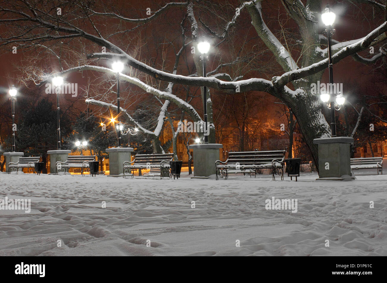 Les lanternes dans la rue au parc la nuit en hiver Banque D'Images