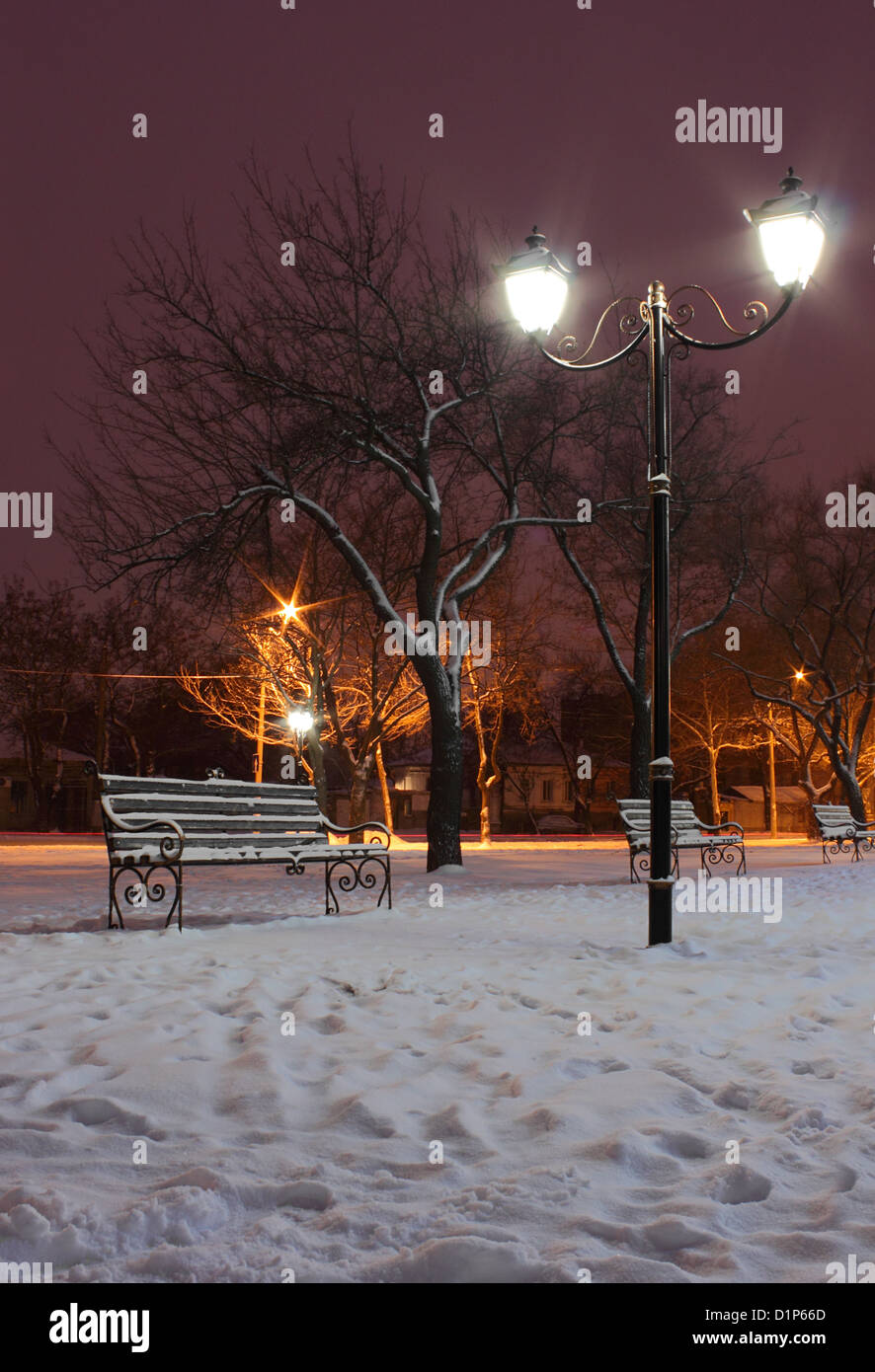 Au parc de la rue lanterne dans la nuit d'hiver Banque D'Images