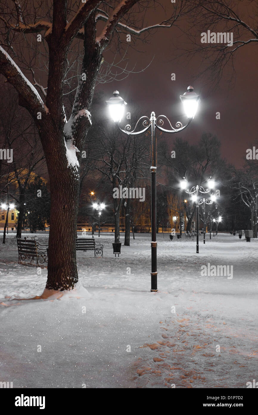 Les lanternes dans la nuit d'hiver au parc Banque D'Images