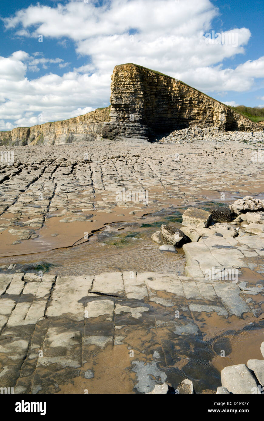 Falaises de calcaire lias point nash côte du glamorgan Vale of Glamorgan South Wales UK Banque D'Images