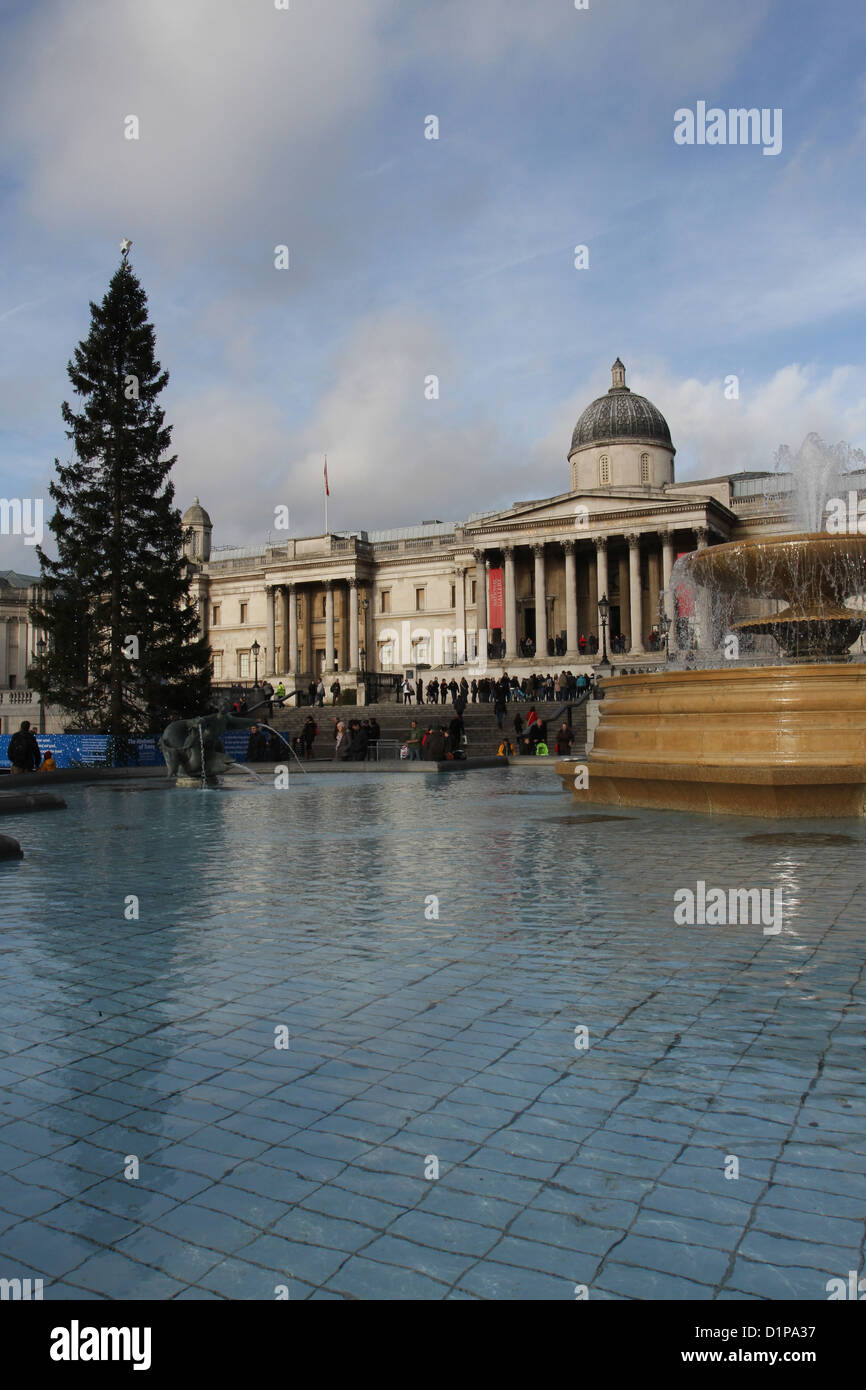 Arbre de Noël à Trafalgar Square London UK Décembre 2012 Banque D'Images