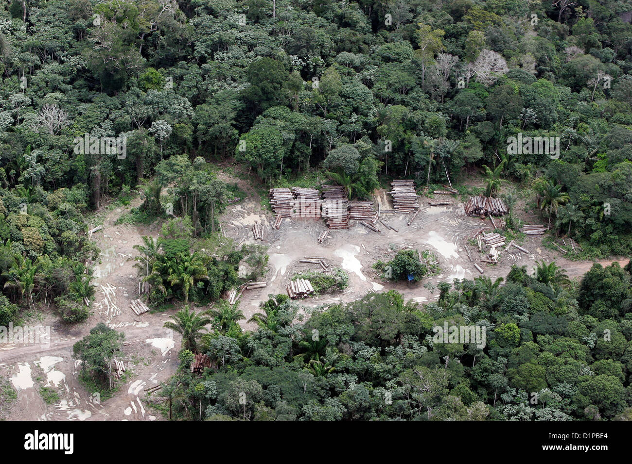 Forêt amazonienne pour jeu illégal l'agriculture journal coupe cachée dans forêt d'agence environnementale brésilienne Ibama - Banque D'Images