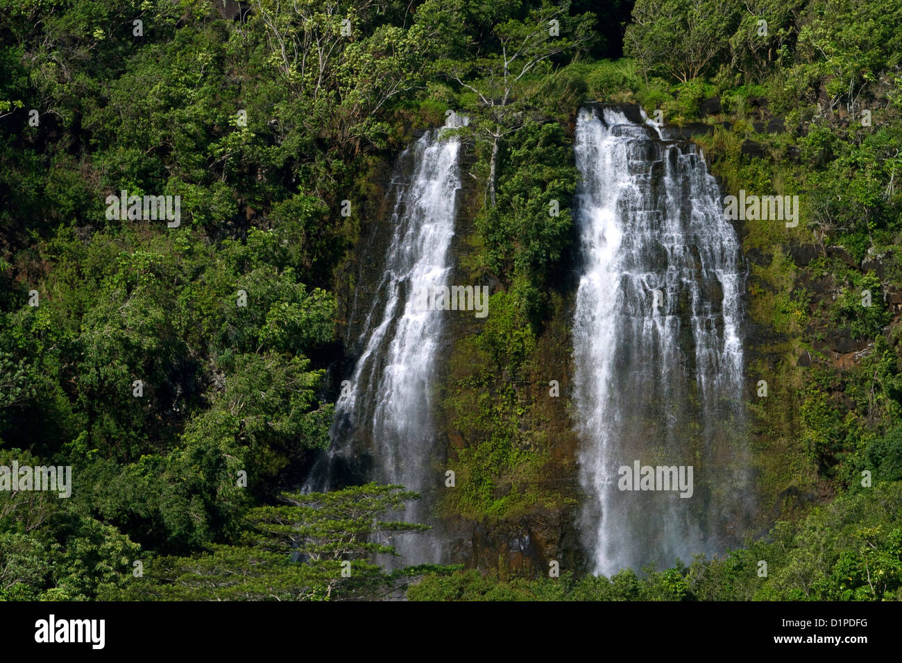 'Opaeka'une tombe située sur le Wailua River dans la région de Wailua River State Park sur le côté est de l'île de Kauai, Hawaii, USA. Banque D'Images