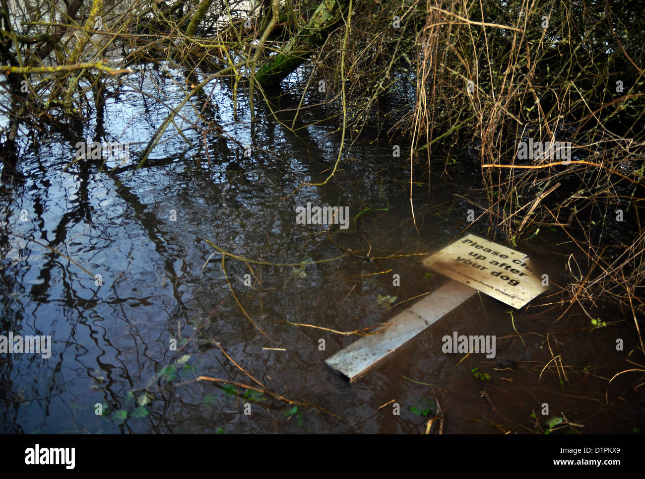 Ramsbury, Wiltshire, Royaume-Uni. 1er janvier 2013. La rivière Kennett Tributory débordant ses banques dans le Wiltshire, Ramsbury photo par Graham Finney celebrityphotos uk Banque D'Images