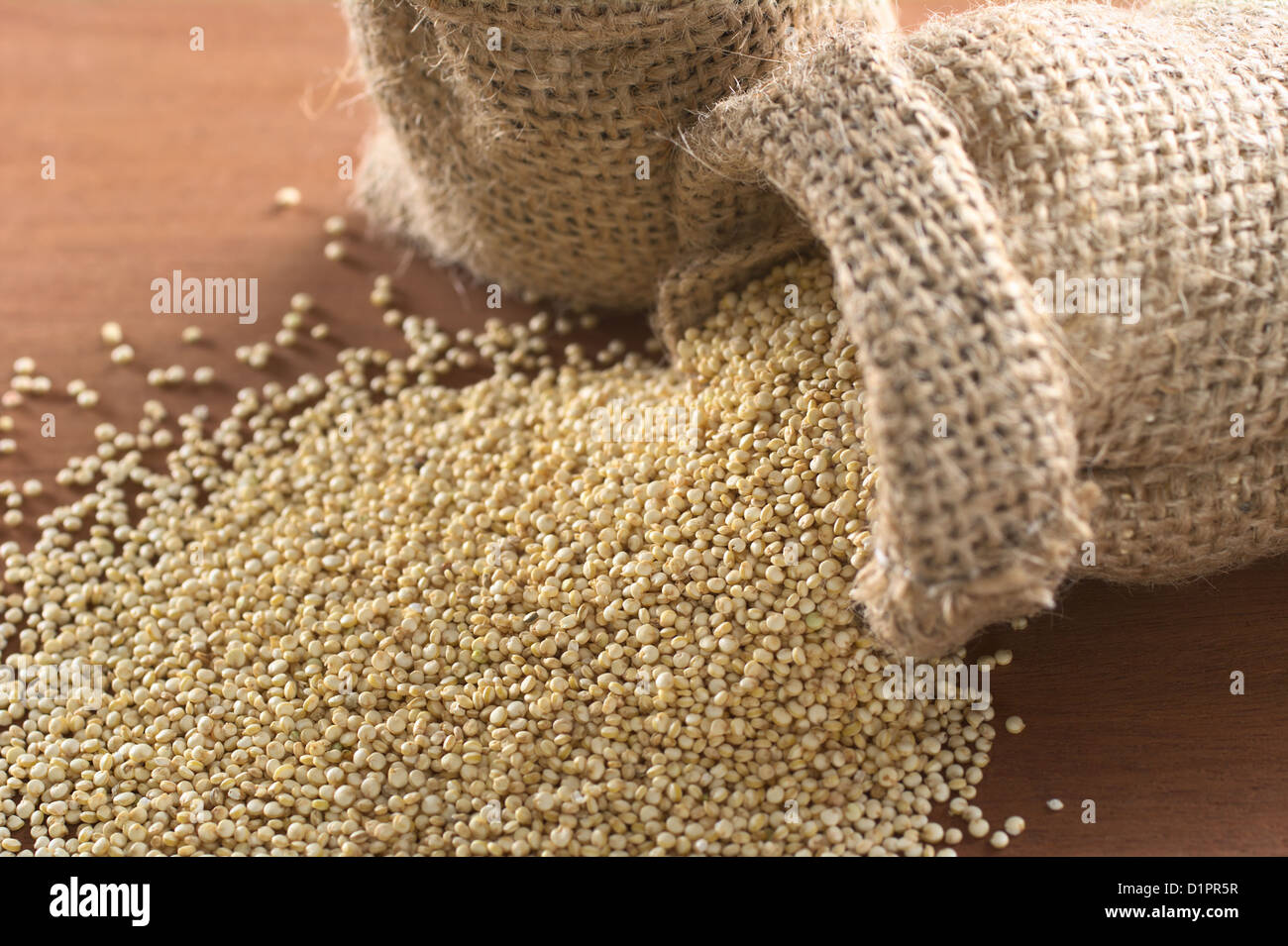 Les grains de quinoa blanc brut en sac de jute sur le bois. Le quinoa est cultivé dans les Andes et est apprécié pour sa haute teneur en protéines Banque D'Images
