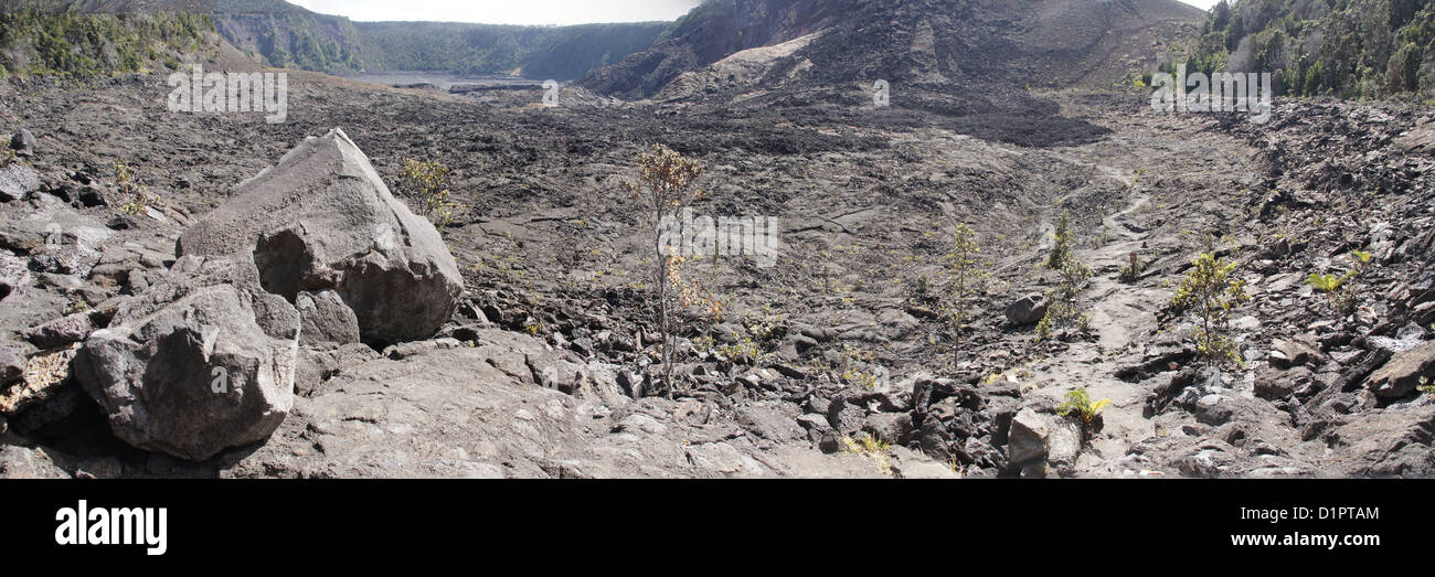 Les roches volcaniques importants sur le cratère du Kilauea Iki Hawaii Volcano National Park, New York Banque D'Images