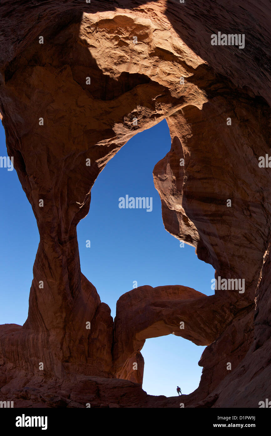 Homme debout en arc double, Arches National Park, Moab, Utah, USA Banque D'Images