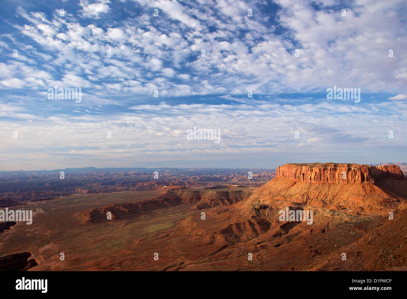 Grand View Point oublier, Canyonlands National Park, Utah, USA Banque D'Images