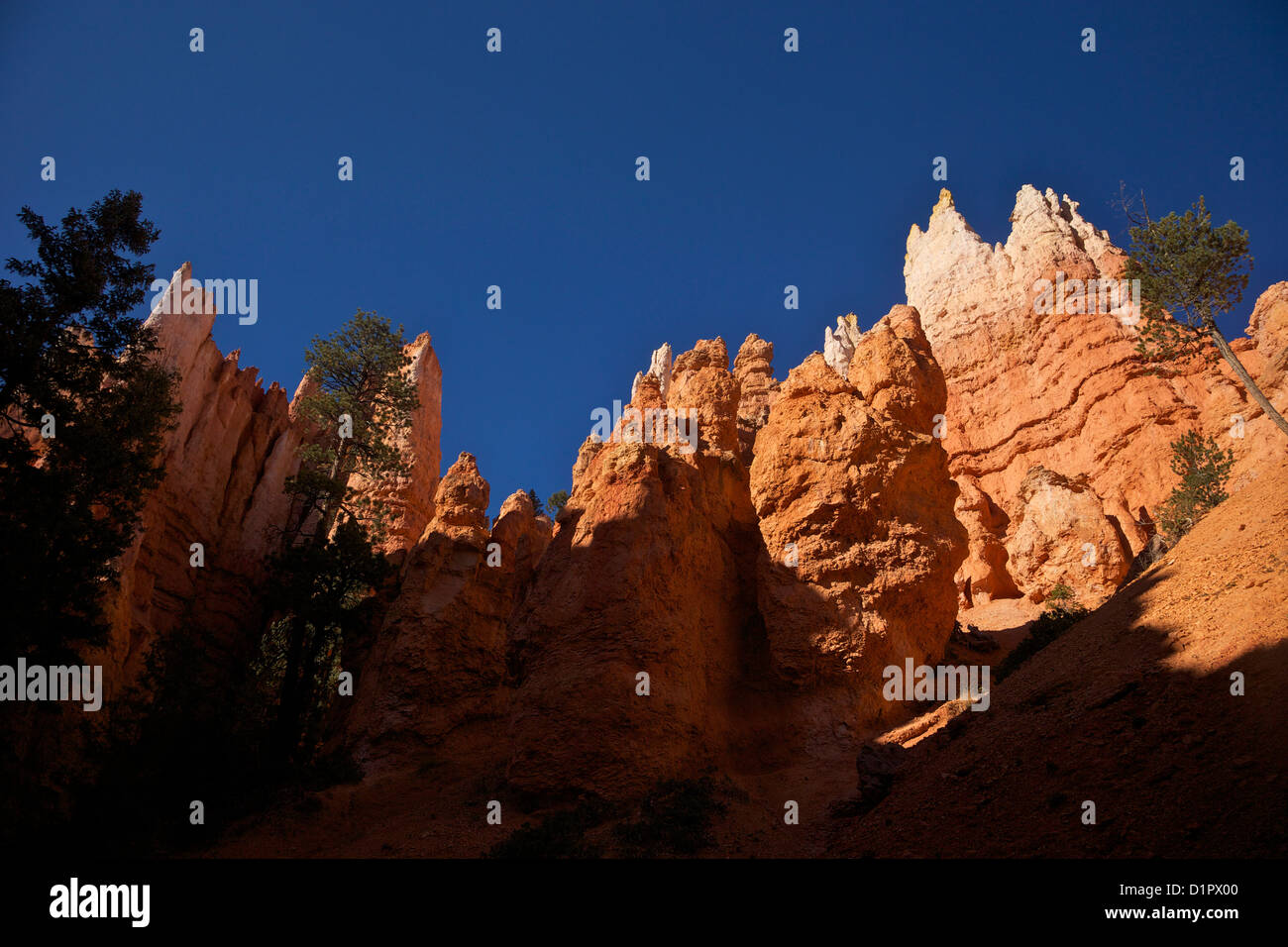 Vue du sentier en boucle Navajo, Bryce Canyon National Park, Utah, USA Banque D'Images