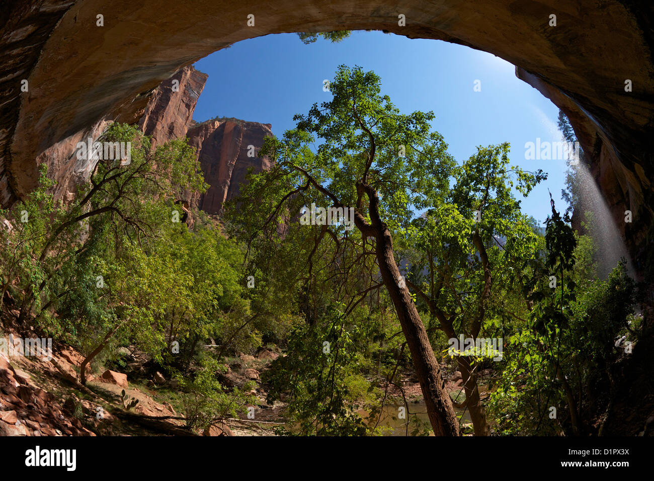 Emerald Pool inférieur, Emerald Pools Trail, Zion National Park, Utah, USA Banque D'Images