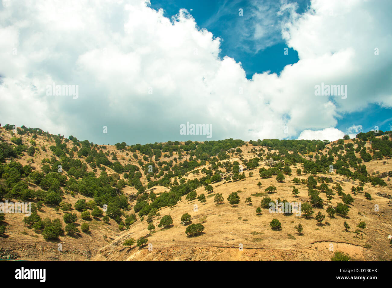 Sur la montagne - Parc National Olympus, Grèce Banque D'Images