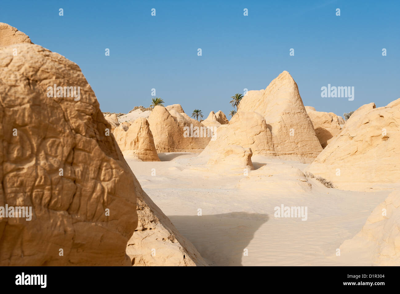 Au sud de la Tunisie, Shara desert,les dunes pétrifiées de Debebcha Banque D'Images
