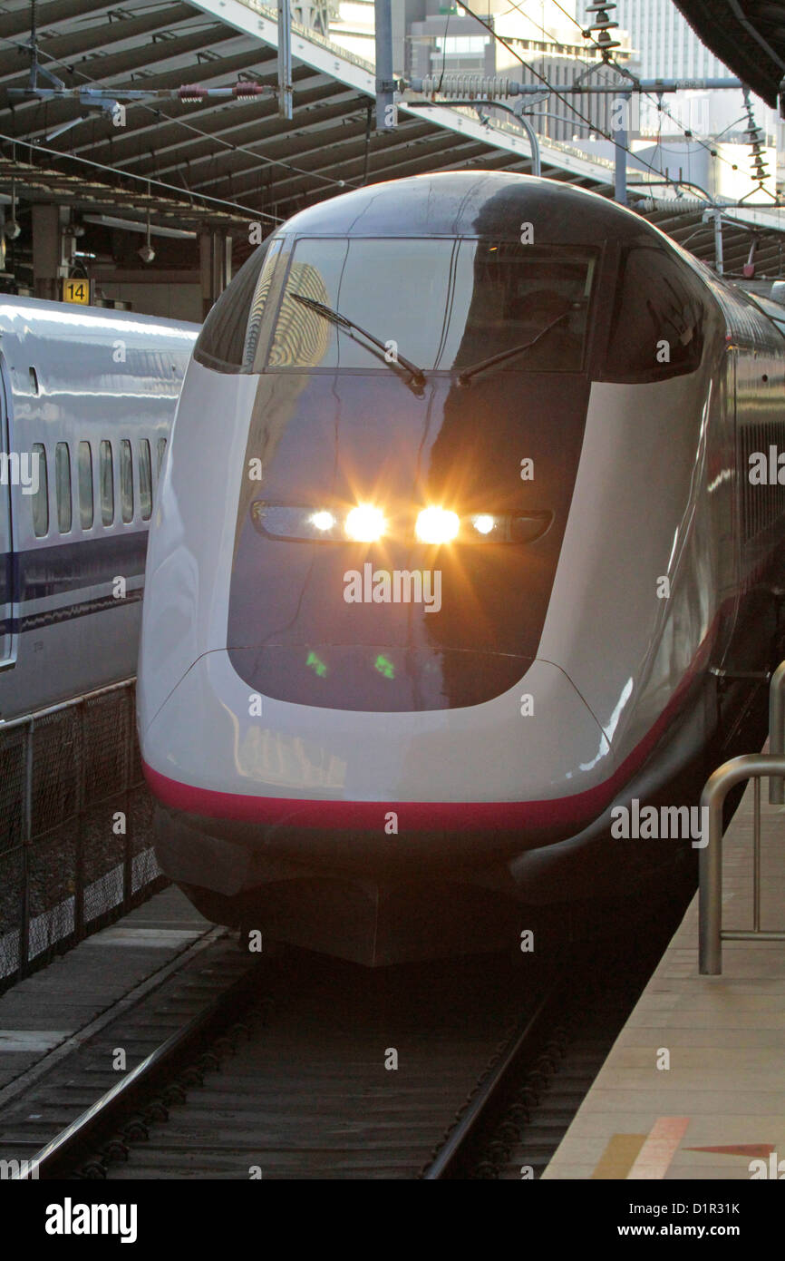 Le Tohoku Shinkansen E3 series ligne ferroviaire à grande vitesse à la gare de Tokyo Japon Banque D'Images