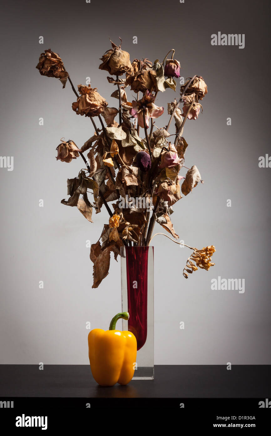 Nature morte de fleurs sèches dans un vase en verre et un poivron jaune Banque D'Images